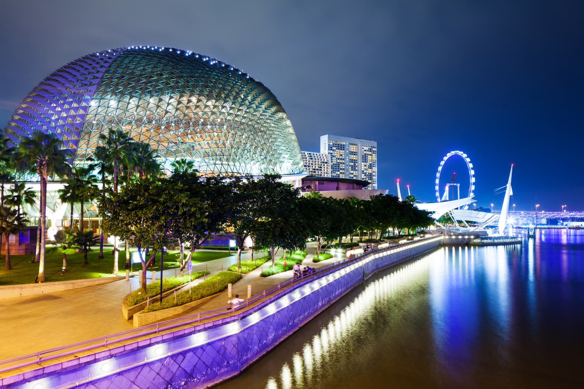 Singapore's Esplanade and waterfront skyline illuminated at night